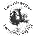 Leonberger hodowla FCI - ZKwP - Bertusowy Gaj